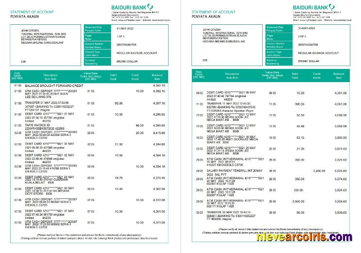 Brunei Baiduri bank statement, Word and PDF, 3 pages